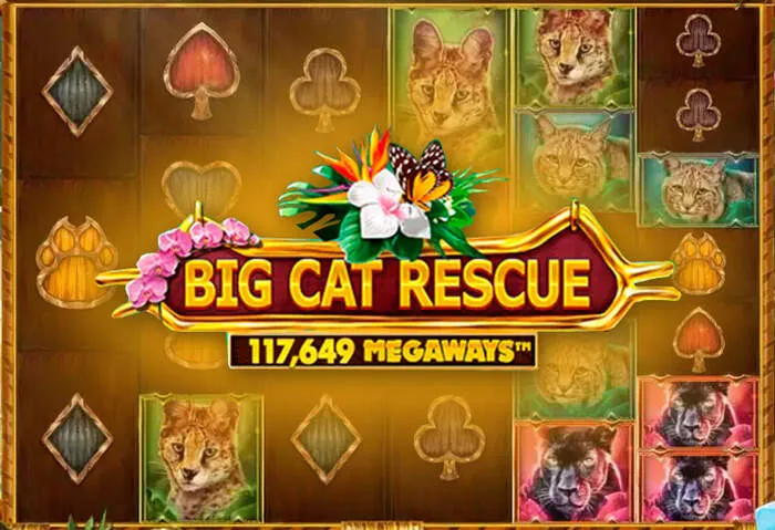 Secure payment methods for seamless casino deposits and fast withdrawals.